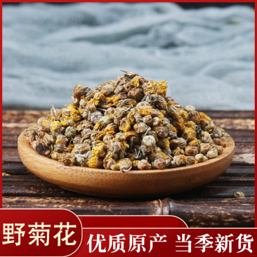 野菊花各种中药材批发质量保证