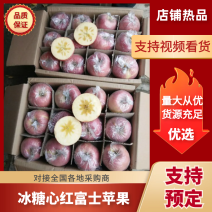 2025山西临猗膜袋苹果批发对接市场商超