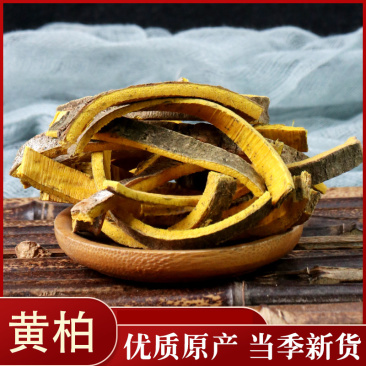 黄柏川黄柏带皮黄柏无硫中药材颜色好去皮黄柏各种规格中药材