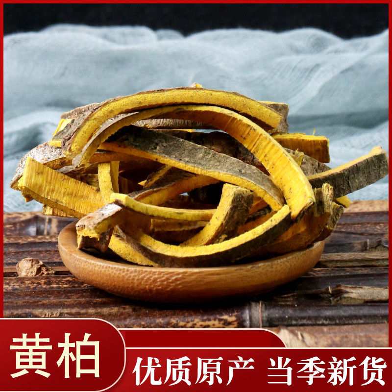 黄柏川黄柏带皮黄柏无硫中药材颜色好去皮黄柏各种规格中药材