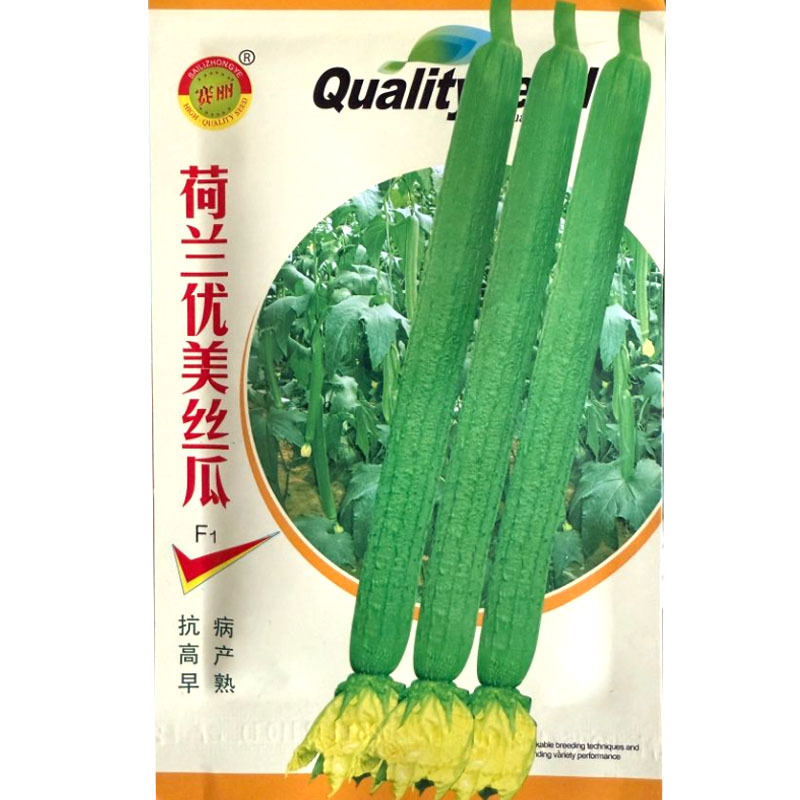荷兰优美丝瓜种子早熟抗病耐热抗寒肉嫩香甜带顶花
