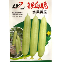 银白脆水果黄瓜种子白黄瓜种子瓜色嫩绿偏白脆甜无渣