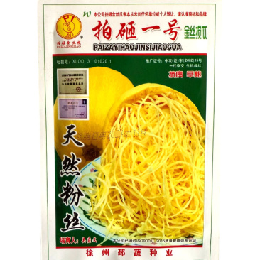 拍砸一号金丝搅瓜种子金丝瓜种子早熟抗病单瓜2-3公斤