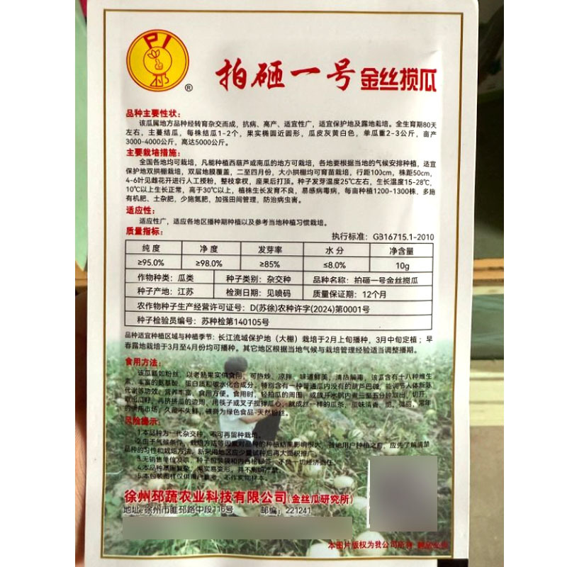拍砸一号金丝搅瓜种子金丝瓜种子早熟抗病单瓜2-3公斤
