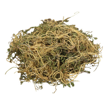 半边莲草药各种中药材批发质量保证产地直销