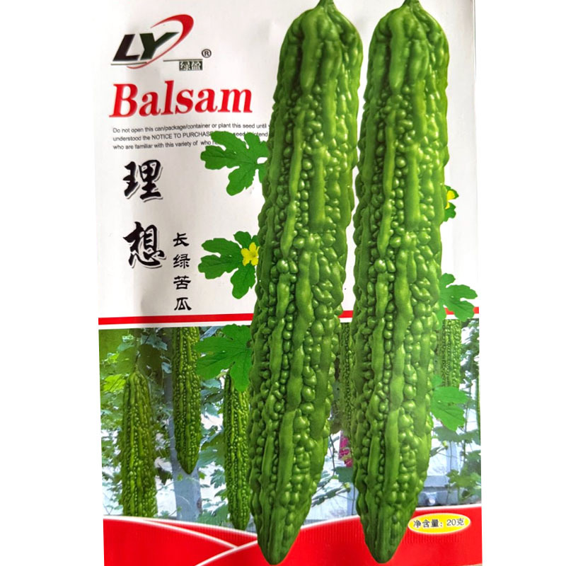 理想长绿苦瓜种子早熟耐热单瓜重450克左右微苦甘脆
