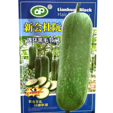 连环黑毛节瓜种子软皮节瓜结瓜早皮色青绿油亮