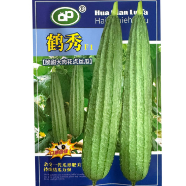 脆甜大肉花点丝瓜种子杂交一代瓜形肥美持续结瓜力强
