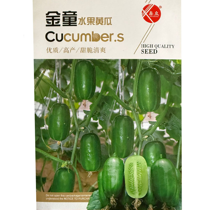 金童水果黄瓜种子早熟小型水果黄瓜节间短脆甜清爽