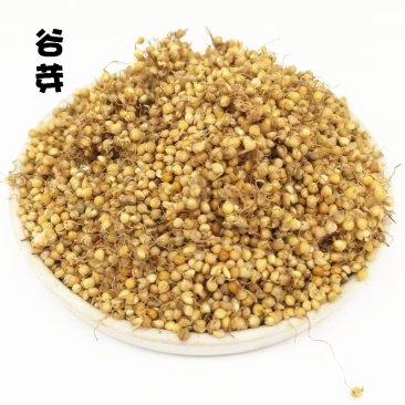 谷芽生谷芽炒谷芽批发零售各种规格中药材