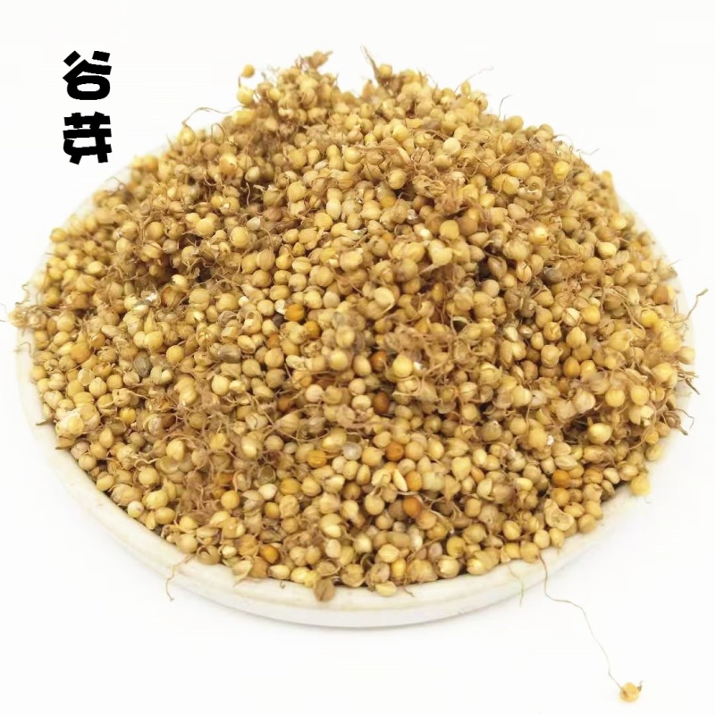 谷芽生谷芽炒谷芽批发零售各种规格中药材
