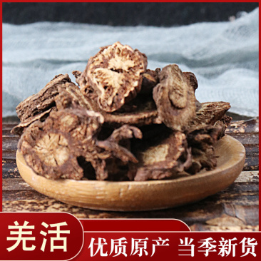 羌活羌活各种中药材批发质量保证