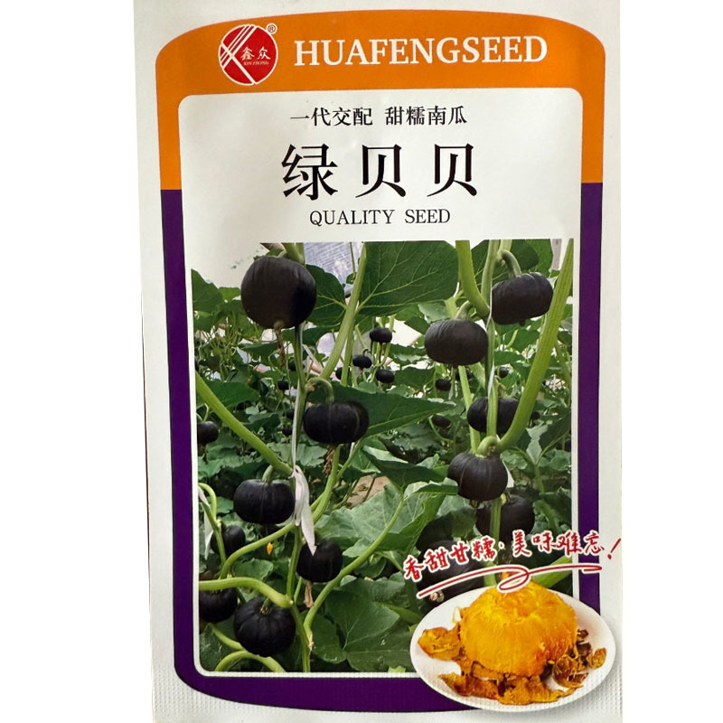 绿贝贝南瓜种子迷你南瓜种子单瓜500克早熟粉糯香甜