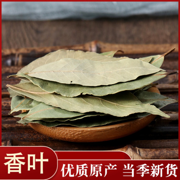 香叶各种中药材批发质量保证调料中药材入药