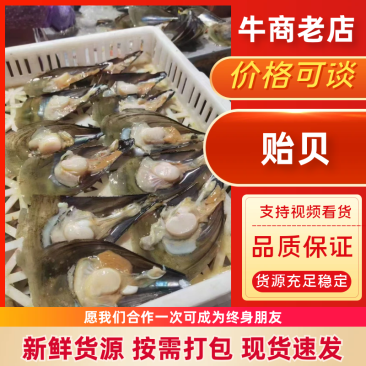 【精选好货】优质贻贝大量有货品质保证量大从优