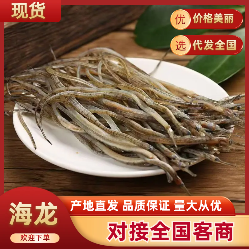 【牛商推荐】江苏连云港精品海龙产地直发货源充足