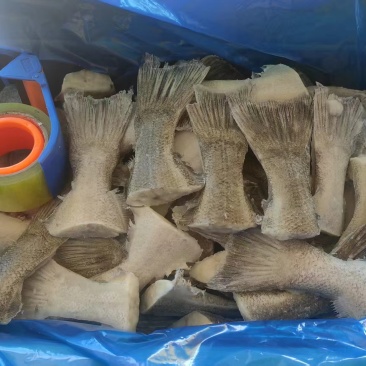 鲽鱼尾大量供应规格齐全保质保量欢迎电话联系
