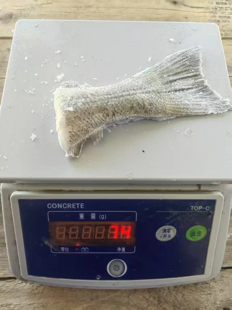 鲽鱼尾大量供应规格齐全保质保量欢迎电话联系
