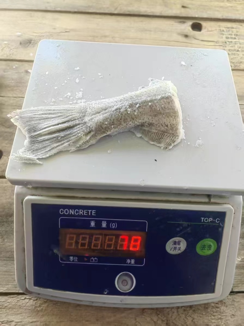 鲽鱼尾大量供应规格齐全保质保量欢迎电话联系