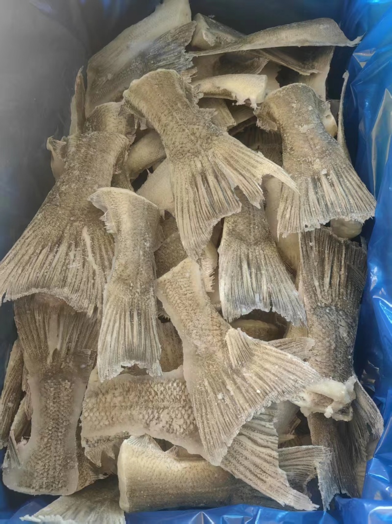 鲽鱼尾大量供应规格齐全保质保量欢迎电话联系