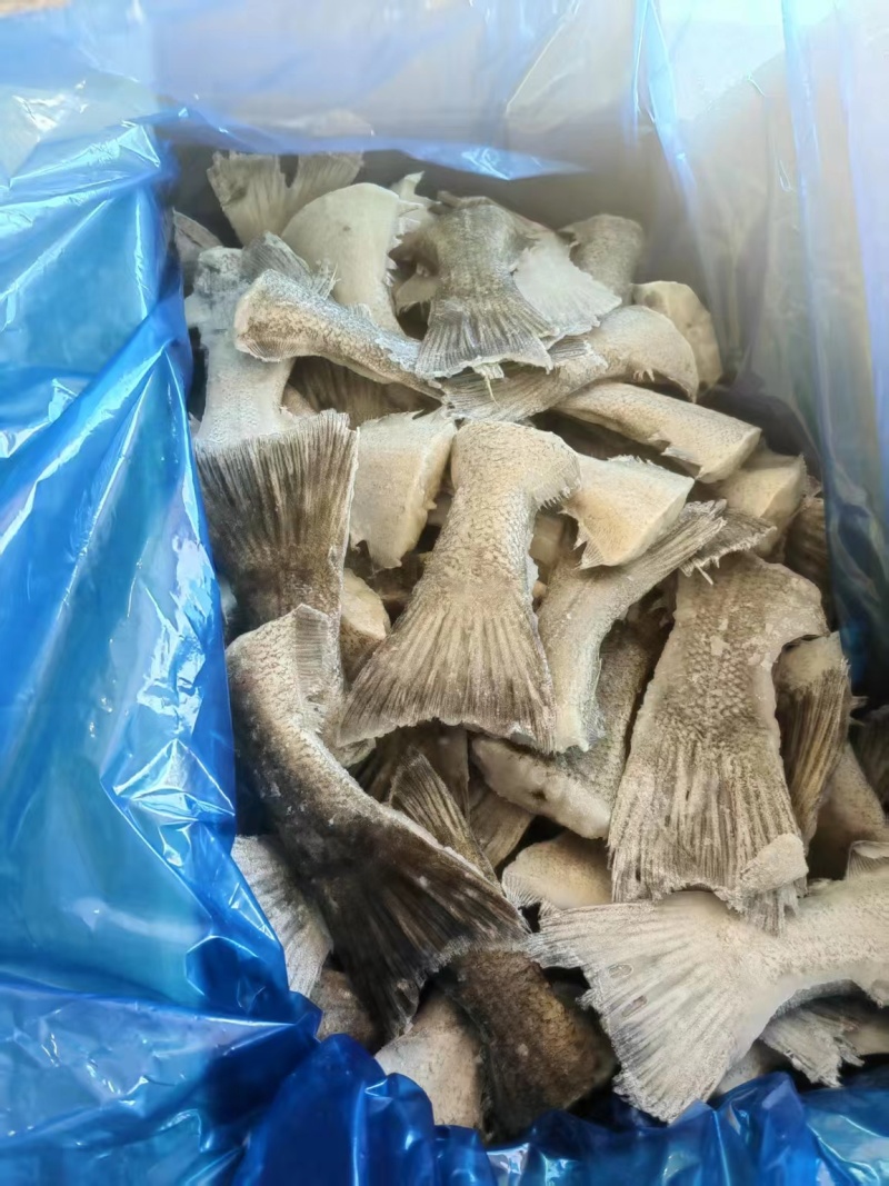 鲽鱼尾大量供应规格齐全保质保量欢迎电话联系