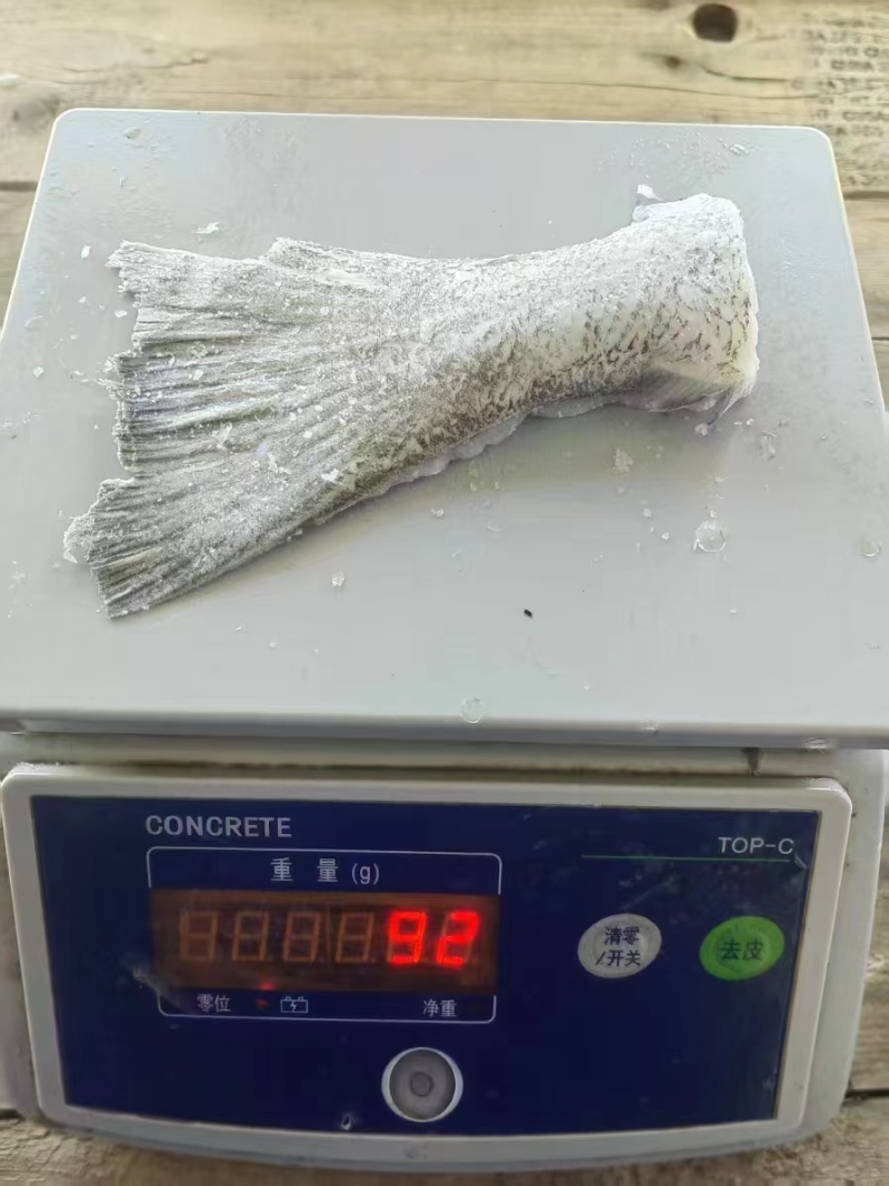 鲽鱼尾大量供应规格齐全保质保量欢迎电话联系