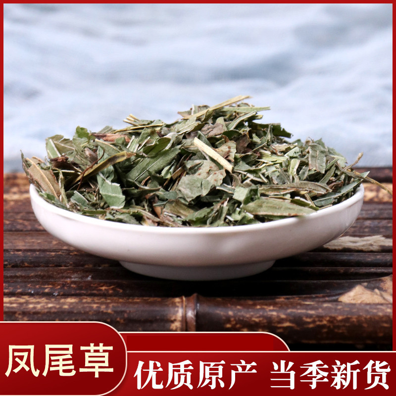 凤尾草各种中药材批发质量保证产地直销