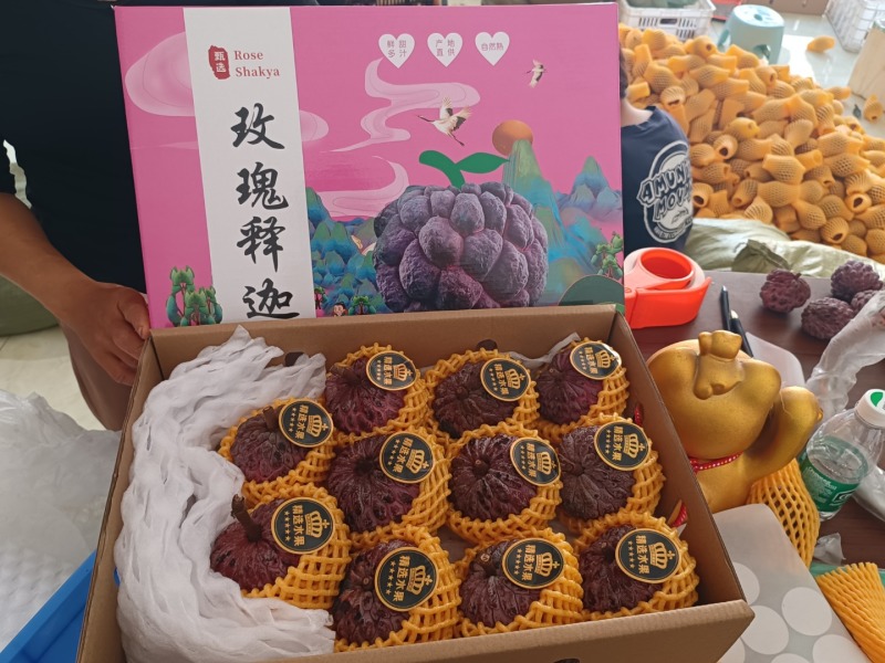 海南玫瑰释迦一件代发产地直发一手货源对接各大电商平台