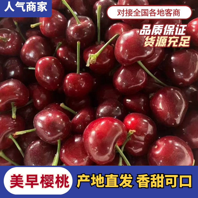 山东【大樱桃】产地批发果园新鲜采摘保证质量全国发货