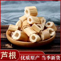 芦根各种中药材批发质量保证各种规格中药材批发零售