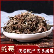 蛇莓各种中药材批发零售各种规格中药材批发