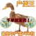 青壳蛋鸭苗高产蛋鸭苗抗病强力强新手养殖好选择远程技术指导