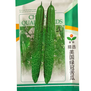 美国绿冠苦瓜种子抗病耐热耐涝颜色翠绿刺瘤丰满