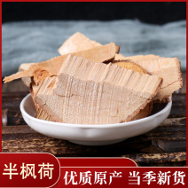 半枫荷各种规格中药材批发零售各种规格中药材
