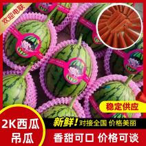 山东潍坊2K小糖丸西瓜2K西瓜冰糖籽
