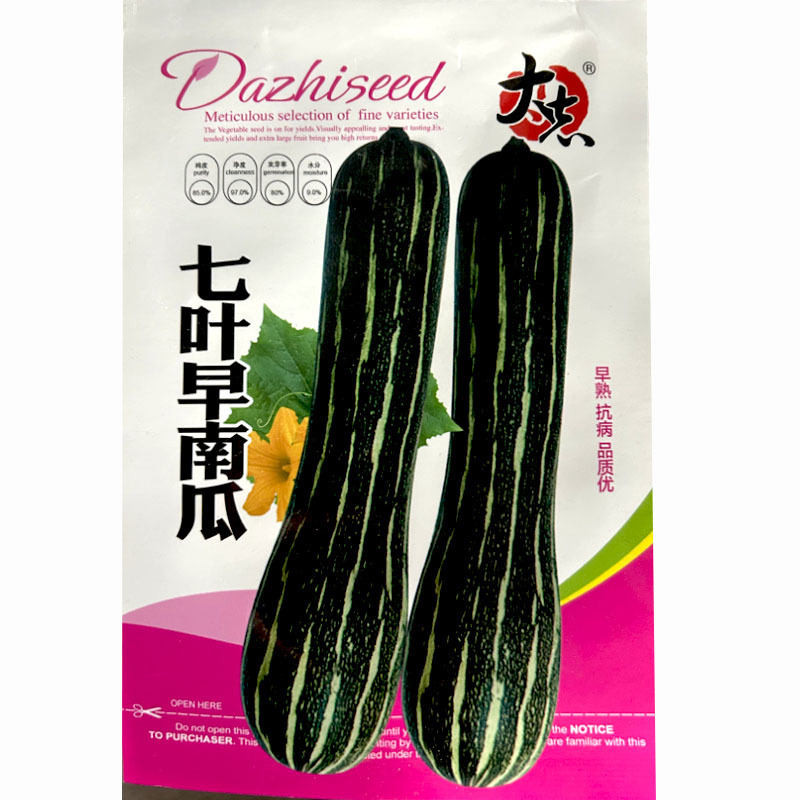 七叶早南瓜种子花皮早熟嫩瓜雌花多大田基地种植