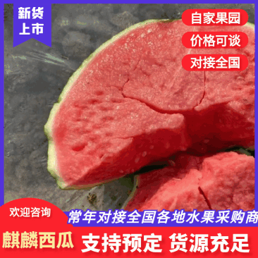 西瓜【美都西瓜】糖度高，耐运输，视频看货，欢迎订购！
