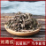 刘寄奴中药材草药刘寄奴干货中药材