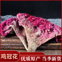 鸡冠花药用干花各种中药材批发零售各种规格中药材