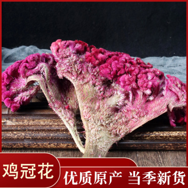 鸡冠花药用干花各种中药材批发零售各种规格中药材