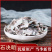 石决明各种中药材批发质量保证