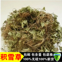 积雪草各种中药材批发质量保证