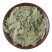 番泻叶药用泡水都可以各种中药材批发零售各种规格