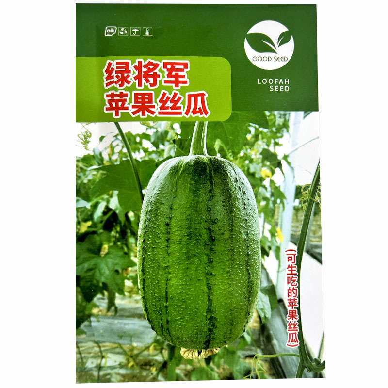 苹果丝瓜种子短简型肉丝瓜种籽耐热春秋爬架露地种植