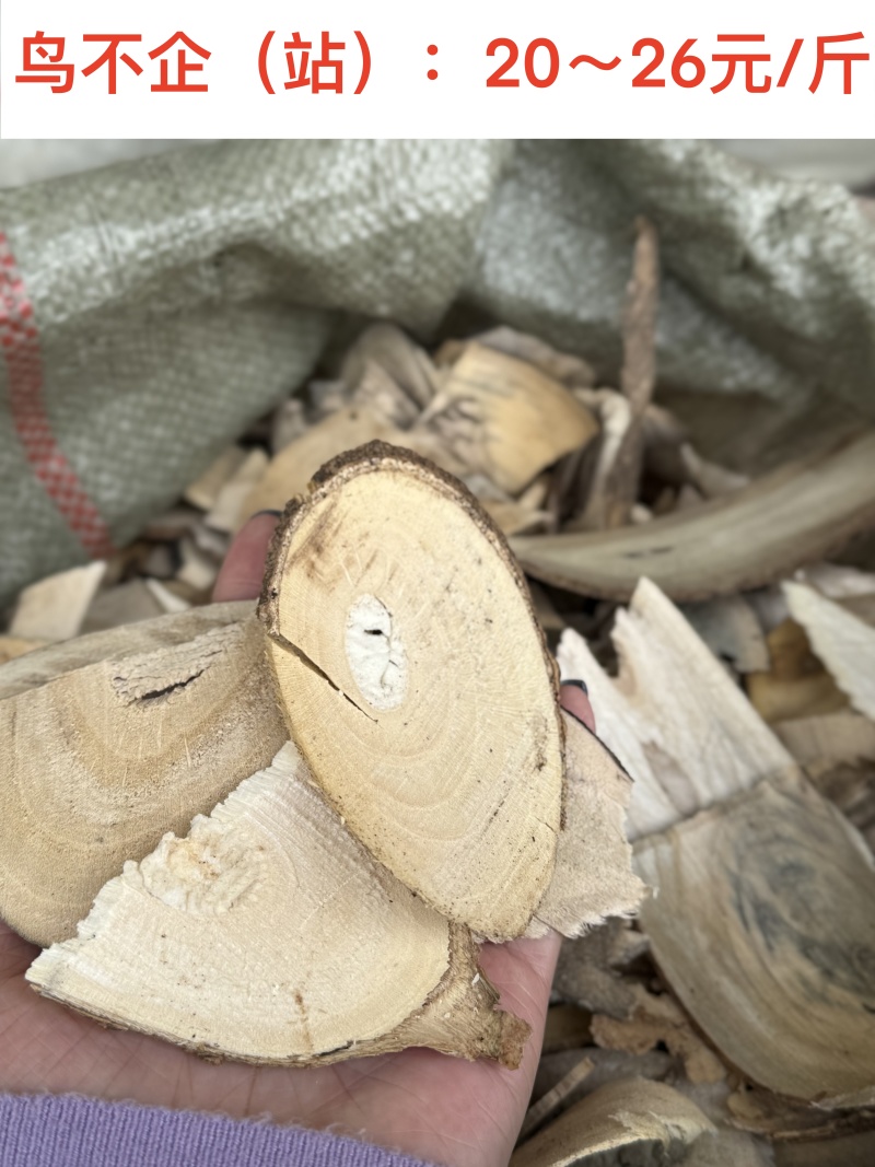 乌不站干货精品鸟不站大量供应，品质保证，可视频看货
