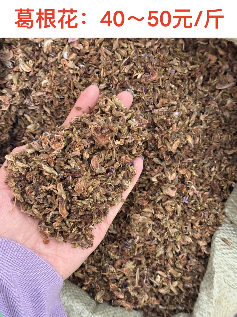 葛根花，全国供货，量大从优，可视频看货，欢迎选购
