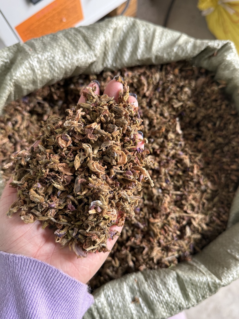 葛根花，全国供货，量大从优，可视频看货，欢迎选购