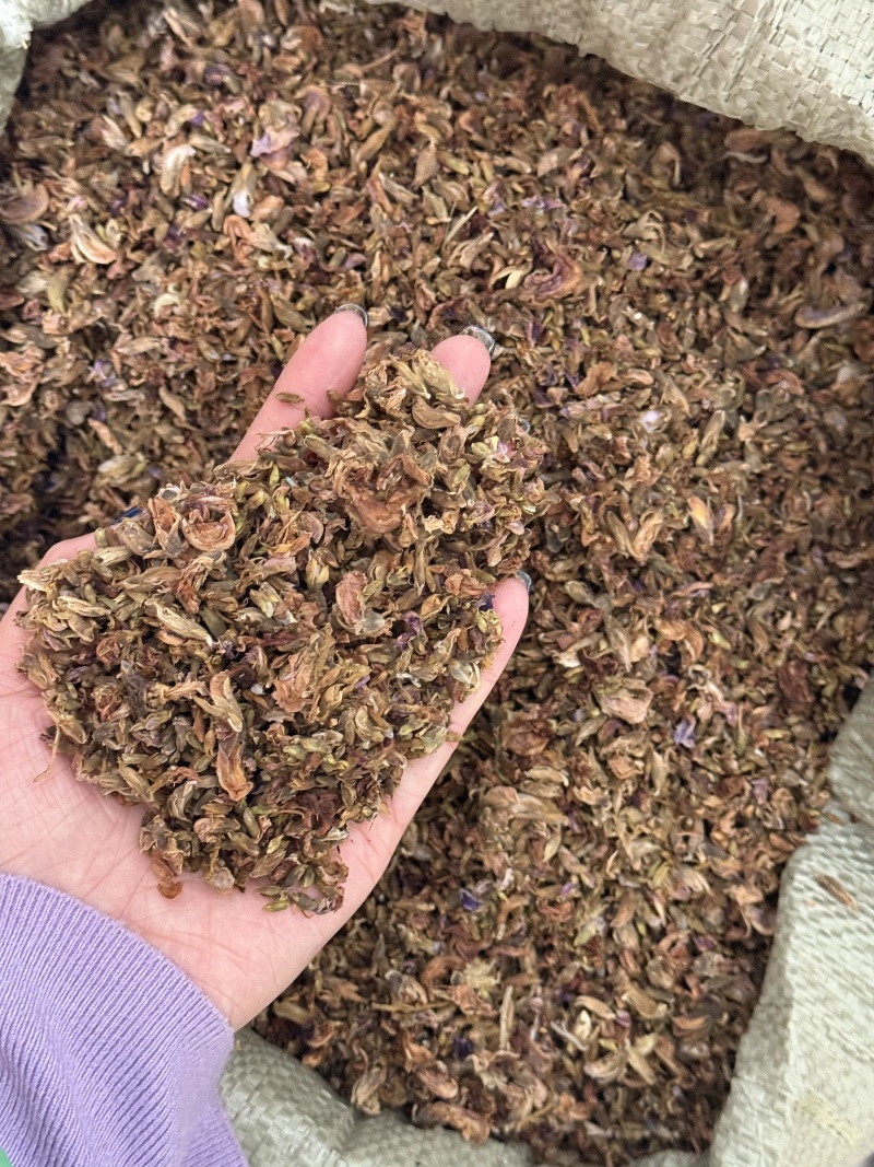 葛根花，全国供货，量大从优，可视频看货，欢迎选购