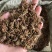 葛根花，全国供货，量大从优，可视频看货，欢迎选购