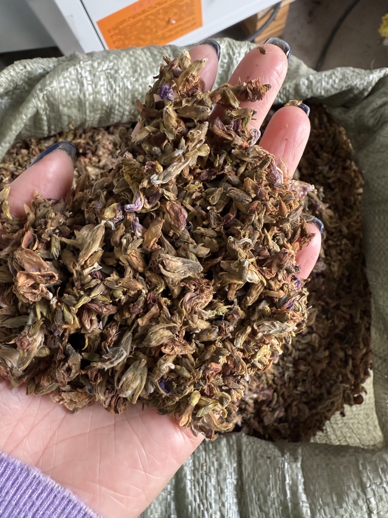 葛根花，全国供货，量大从优，可视频看货，欢迎选购